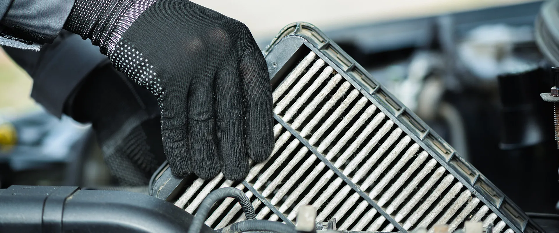 Timing Chain Repair in St. Joseph, IL near St. Joseph, IL